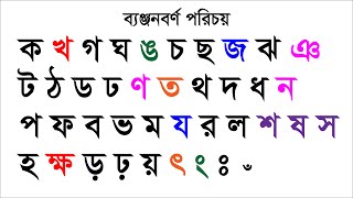 ব্যঞ্জনবর্ণ পরিচয় Consonant identity খুব সহজে বাংলা রিডিং পড়া শিখুন l [upl. by Brear]