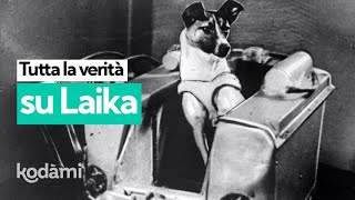 Perché la cagnolina Laika fu mandata nello spazio e che fine ha fatto La verità sulla sua storia [upl. by Shay641]