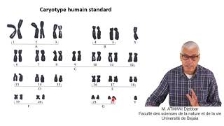 Cours N° 8 Aberrations chromosomiques  Généralités [upl. by Holey]