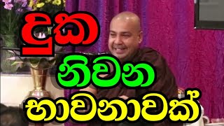 දුක නිවන භාවනාවක්  Most VenBambalapitiye Gnanaloka Thero [upl. by Oicram]