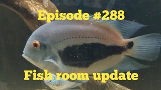 Fish room update August 032024 [upl. by Ekard]