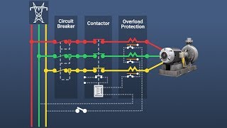 Motor Overload Protection [upl. by Lymann]