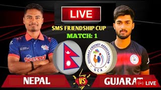 🔴 T20 SERIES 2024 LIVE  NEPAL VS GUJRAT Live  NEP VS GUJ 1ST T20 Live [upl. by Ynetruoc680]