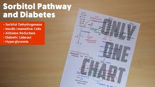 Sorbitol Pathway and Diabetic Cataract  2  Biochemistry [upl. by Netti]