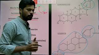 Digoxin Mechanism I Cardiac glycoside I MHSRB Pharmacist I Telangana Pharmacist I [upl. by Aletta]