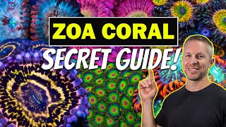 ZOA CORALS SECRET GUIDE TO SUCCESS [upl. by Cirdec]