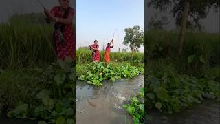 Unique Hook Fishing Video 🐬🐬🐋🐋 hookfishtrap fishingmethods traditionalhookfishing fishing [upl. by Nilved]