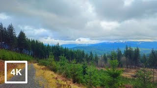 Washington State Trails  Yacolt Burn State Forest  Video For Exercise Elliptical [upl. by Etteval]