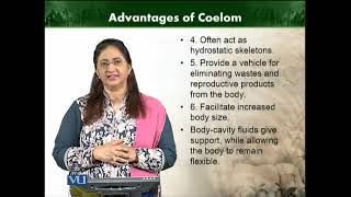 Advantages of Coelom  Animal Diversity Invertebrates Theory  ZOO512TTopic008 [upl. by Eidnam]