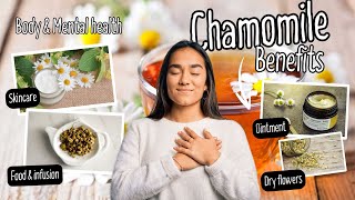 Chamomiles Surprising Health Benefits Explored [upl. by Airtemad27]