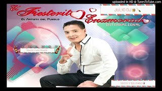 EL FIESTERITO ENAMORADO TRISTE Y SOLITARIO [upl. by Toll]