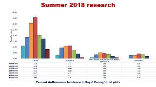 Disease suppression without fungicides can it be done [upl. by Schulein]