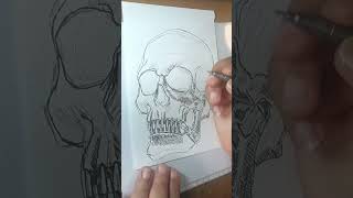 Silent Skull  Speed Drawing [upl. by Aisela]