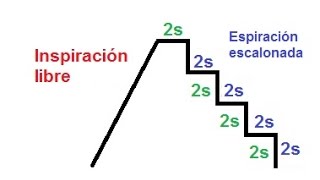 ESPIRACIÓN ESCALONADA  Rechaka pranayama [upl. by Palmer]