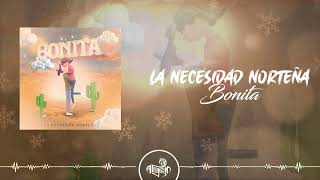 La Necesidad Norteña  Bonita 2023 [upl. by Nemlaz]