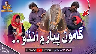 Gamoo Pyar Mai Andho  Asif Pahore Gamoo  Kheero Buriro  Gamoo New  Comedy Funny Video  2024 [upl. by Elbert721]