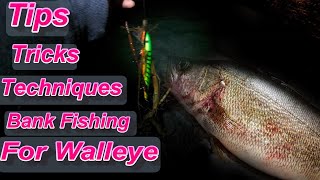 TipsTrickTechniques Lake Erie Breakwall Walleye Fishing At Night [upl. by Uird]