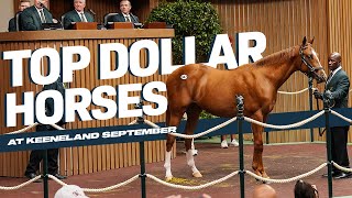 Million Dollar Babies Keeneland Yearling Sale 2024 [upl. by Asille]