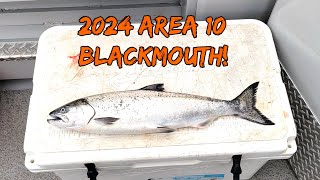 We caught winter blackmouth in Area 10 [upl. by Ettezyl]