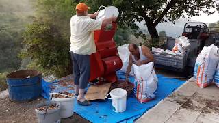 Bartech Fındık Ayıklama Makinesi Elektrikli Fındık Patozu  Karaman Çiftliği [upl. by Gosser]