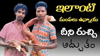 దుంపkarra pendalam dumpahealth food [upl. by Seale]