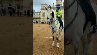 Heartwarming Moment Officer and Her Steed 🐴 london travel royalguard 🇬🇧 [upl. by Eledoya]