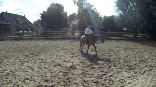 Riding one handed in the Hackamore Californio Traditions Cody Deering [upl. by Yalhsa769]