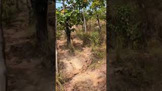 Up sector hardenduro enduro dirtbike offroad viral thailand [upl. by Hulburt]