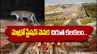 Leopard Spotted At Miyapur Metro Station  మెట్రో స్టేషన్ వెనక చిరుత సంచారం భయాందోళనలో స్థానికులు [upl. by Anaic]