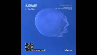 水母航班 Jellyfish Flight  睡眠科学 Vol10 [upl. by Ecirtam]