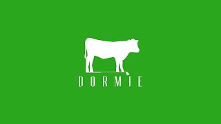 Dormie Workshop Intro [upl. by Silden]