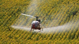 Aérospatiale SA318C Alouette II spraying flight near Dudar [upl. by Ahseila]