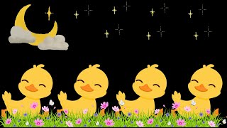 🦆🌈 Baby Sensory Video Dive into a World of Colorful Ducks 🌈🦆 [upl. by Candi]