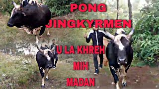 PONG JINGKYRMEN U LA KHREH MIH MADAN HA KA 171124 [upl. by Harat]