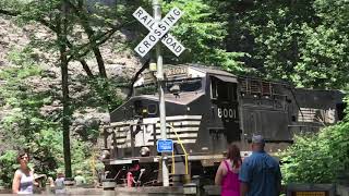 NS ES44AC 8001 in Natural Tunnel VA Part 1 [upl. by Porcia]