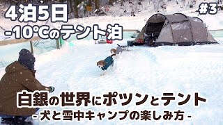 【雪中キャンプ】マイナス10℃のテント泊！？犬と雪中キャンプの楽しみ方 ～ 4泊5日年越し雪中キャンプ 3 犬連れ夫婦キャンプ [upl. by Trebor]