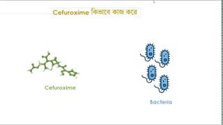 How Clavulanic Acid Protects Cefuroxime Courtesy by Cerox CV [upl. by Perretta]