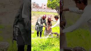 Othe Amla De Hone Ne Navede Nusrat Fateh Ali Khan viral trending shortsvideo youtube shortssad [upl. by Raybin511]