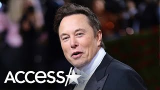 Elon Musk Secretly Had Twins w Exec Before Having Baby w Grimes Reports [upl. by Tan950]