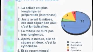 BIOLOGIE 9  UNITÉ 2  La mitose [upl. by Rutter341]