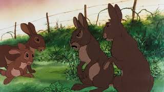 Watership Down 1978  Full Screen Edition [upl. by Laemaj]