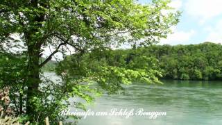 RheinfeldenBaden  Panorama Video [upl. by Adnaral472]