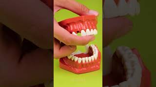 Oh no 🤯 Lets make another tooth diy gadget [upl. by Isdnil969]