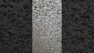 Koliwada White Granite Slab  Available on IndiaMART [upl. by Arob]