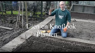 Ui en Knoflook Planten in de moestuin [upl. by Llehsim]