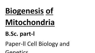 Biogenesis of Mitochondria [upl. by Reel]