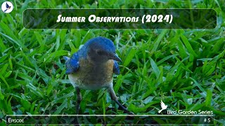 Summer Observations 2024 [upl. by Yelah]