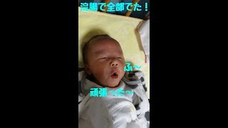 便秘小僧に浣腸した結果。。。双子赤ちゃん生後31日 兄 mix twins [upl. by Pegeen627]