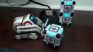 How to setup COZMO robot by ANKI TuneupFeedPlaySleep [upl. by Teik281]