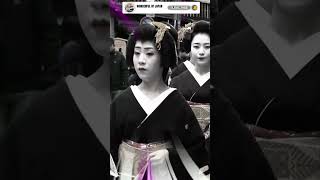 History Of Geishas part 4 👘⛩️ Wonderful Of Japan ✨⛩️ maiko geisha geiko ✨❣️ [upl. by Erminia]